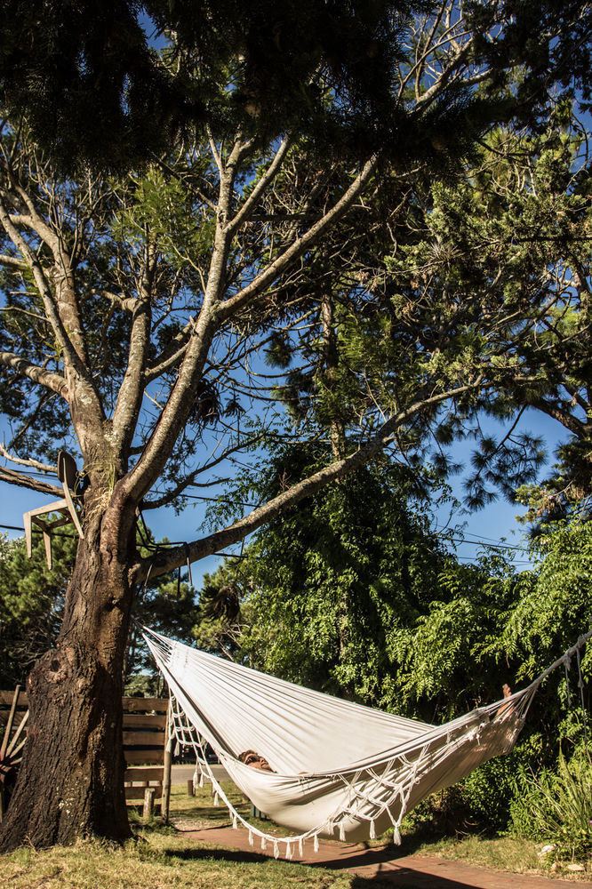 Negrita Hostel La Barra ภายนอก รูปภาพ